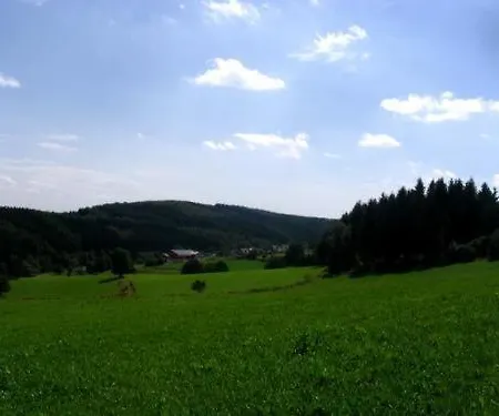 Guest house Haus Dumicketal 3*