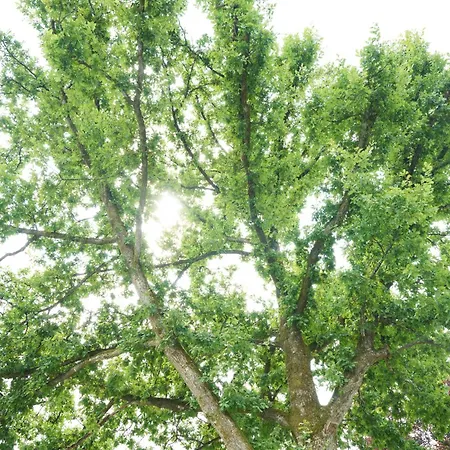 Maison d'hôtes Haus Dumicketal 3*