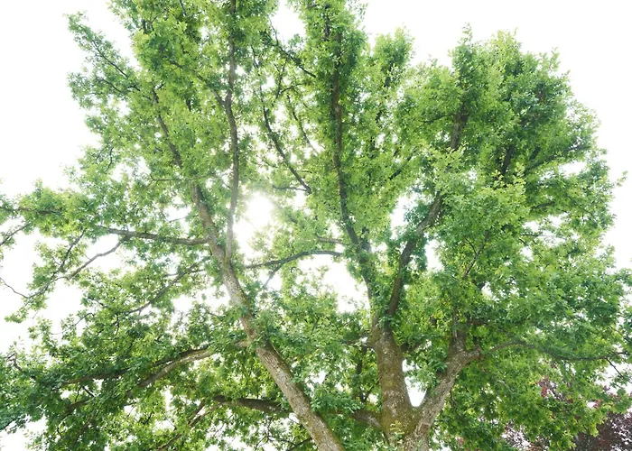 Penzion Haus Dumicketal 3*